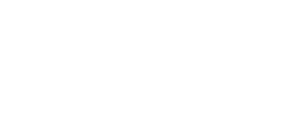 Forcepoint White Logo