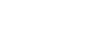 Varonis White Logo